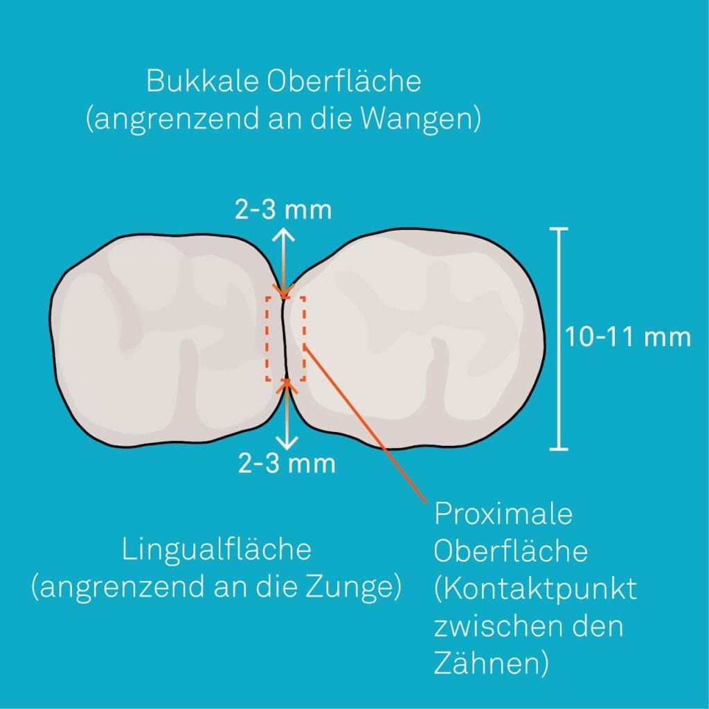 Warum eine hydrodynamische Schallzahnbürste die beste Wahl ist