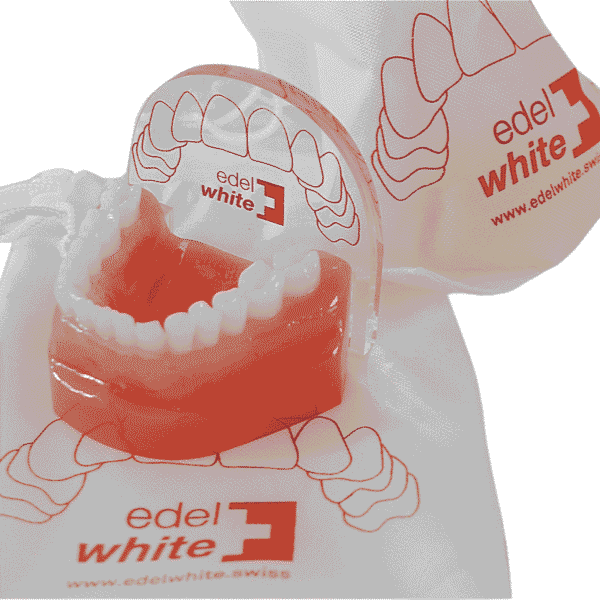 Demo tooth model of the Swiss dental brand edel+white for demonstration purposes, tooth model with protective cover