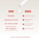 belif Super Drops Retinol & Peptide Barrier Serum 30ml – Anti-Aging-Serum für straffere Haut, verfeinerte Poren & gestärkte Hautbarriere. Infografik Inhaltsstoffe