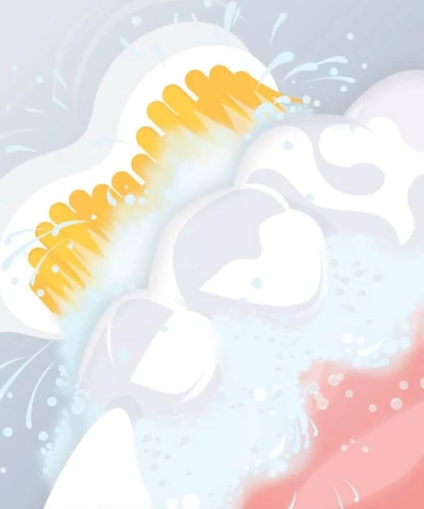 Warum eine hydrodynamische Schallzahnbürste die beste Wahl ist